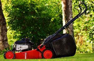 What Lawn Mower Should You Buy?
