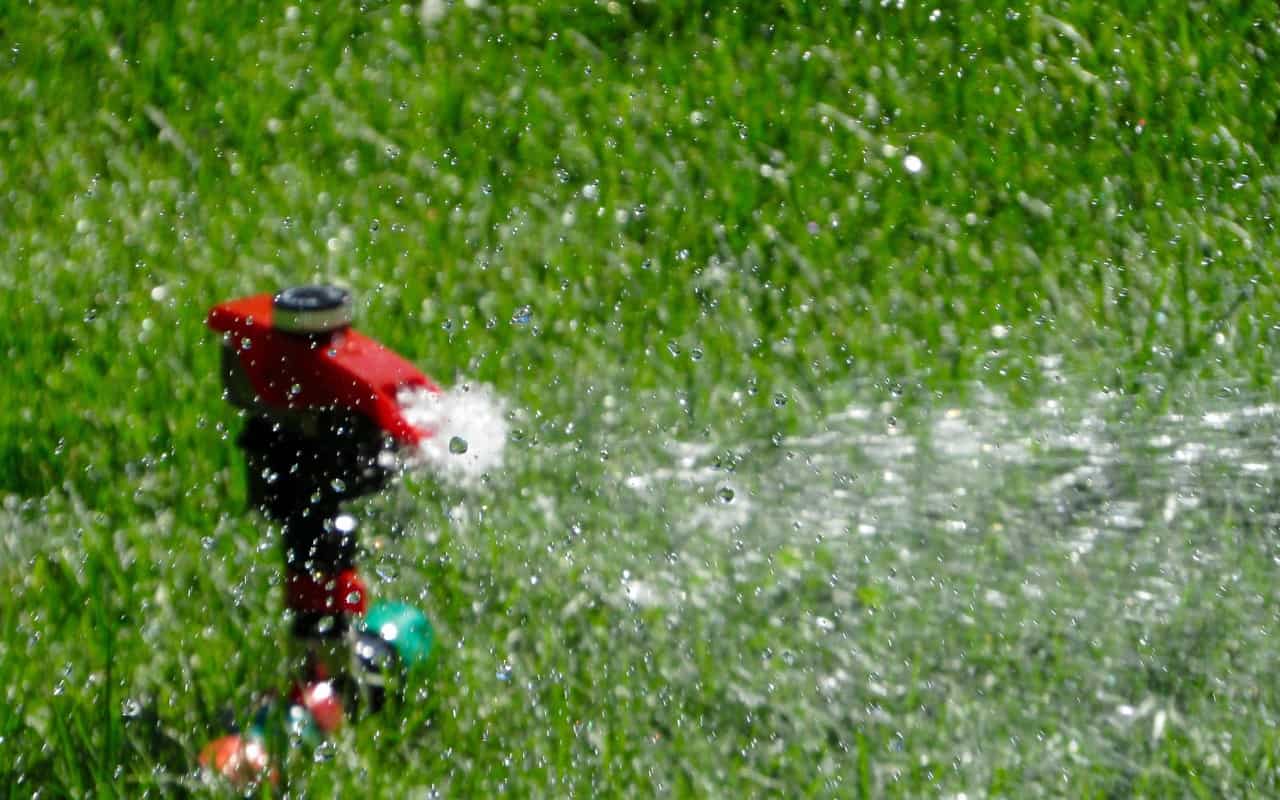 Best Time to Water the Lawn