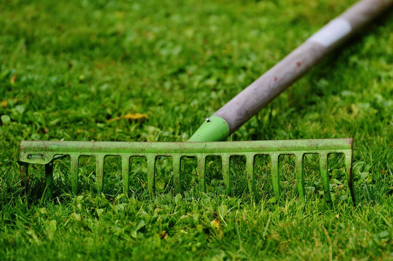 Best Tips For Scarifying Your Lawn