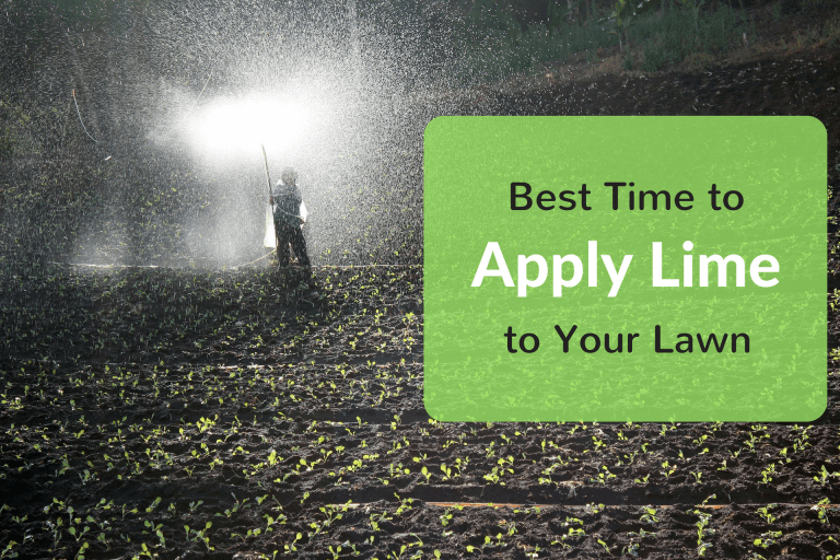 Best Time to Apply Lime to Your Lawn