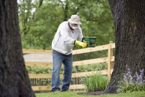spring lawn care maintenance