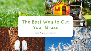 best way cut grass