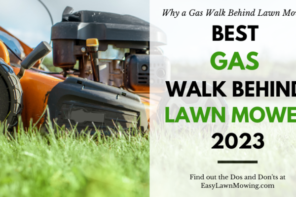 Best Gas Lawn Mower for 2023 - Reviews