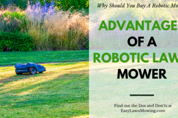 Advantages Of A Robotic Lawn Mower