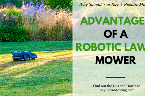 Advantages Of A Robotic Lawn Mower And Why Should You Buy One?