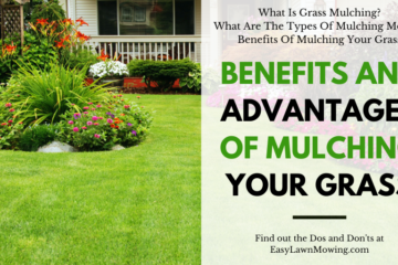 Benefits And Advantages Of Mulching Your Grass