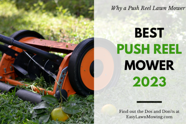 Best Push Reel Mower 2023 - US