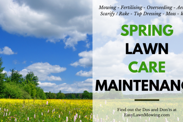 Spring Lawn Care Maintenance – What You Need to do