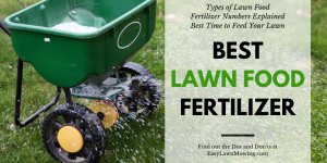 Best Lawn Food Fertilizer