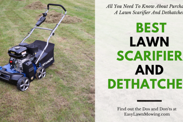 Best lawn scarifier and dethatcher to buy now in the US 2023
