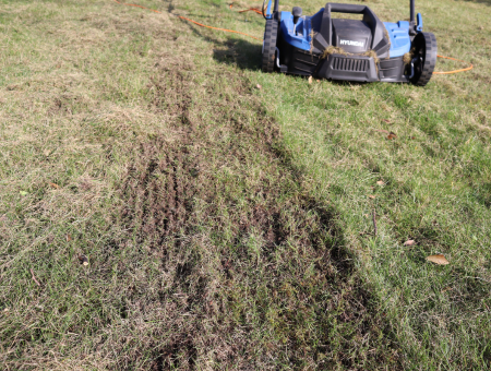 Benefits Of An Electric Dethatcher And Scarifier
