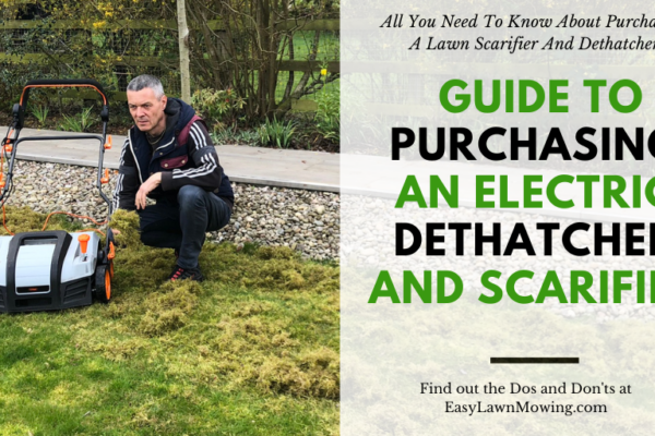 Guide to Purchasing an Electric Dethatcher and Scarifier US